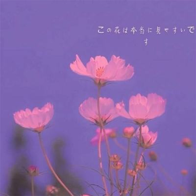 im电竞官网app下载