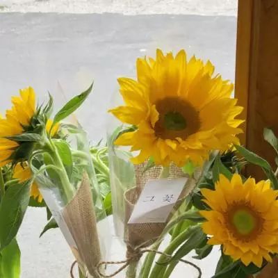 南宫体育app下载安装下载手机版