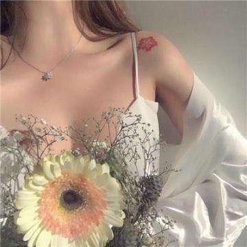 半岛官方APP入口截图